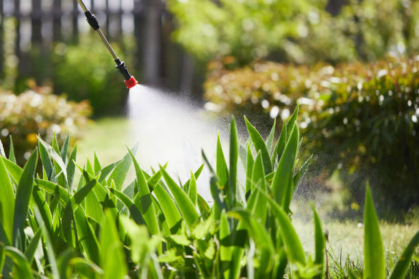 24/7 Emergency Mosquito Control experts in Spring House, PA